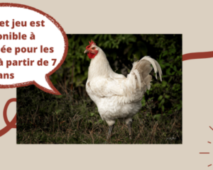Livret Jeux