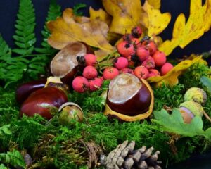 Fête des marrons et Marché de Noël