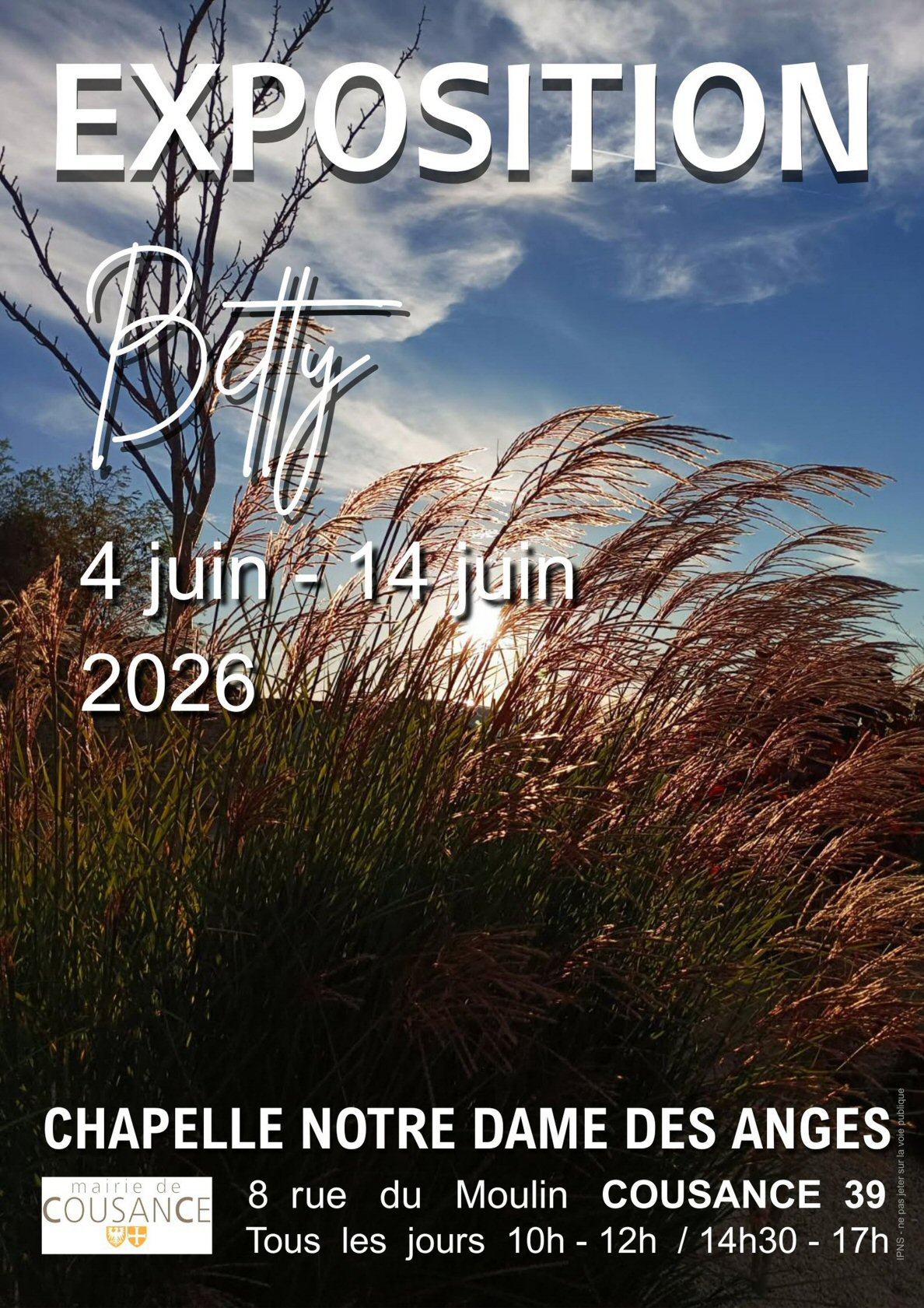 Exposition 2026 - Photo N°4