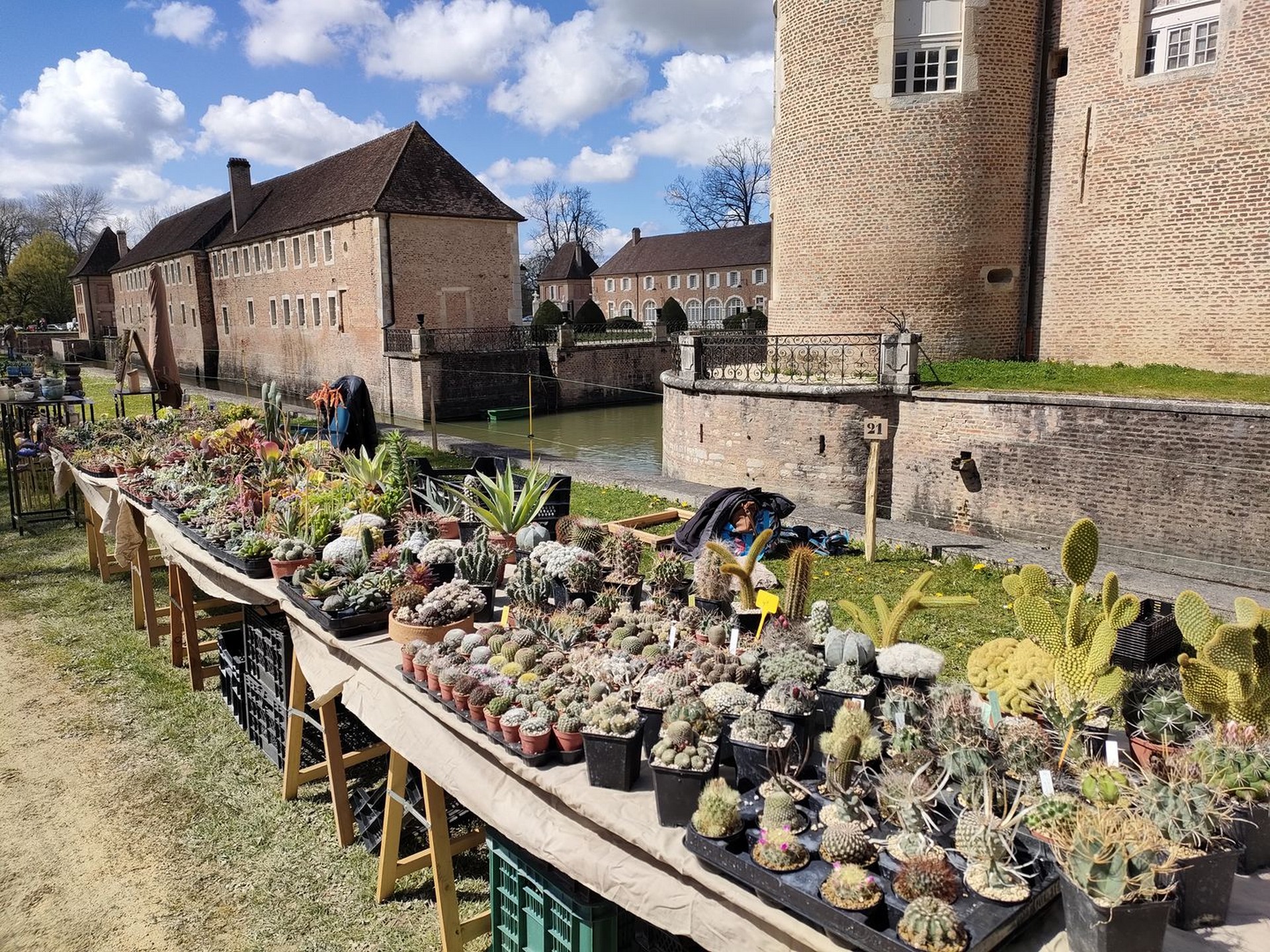 Foire aux plantes rares - Photo N°2
