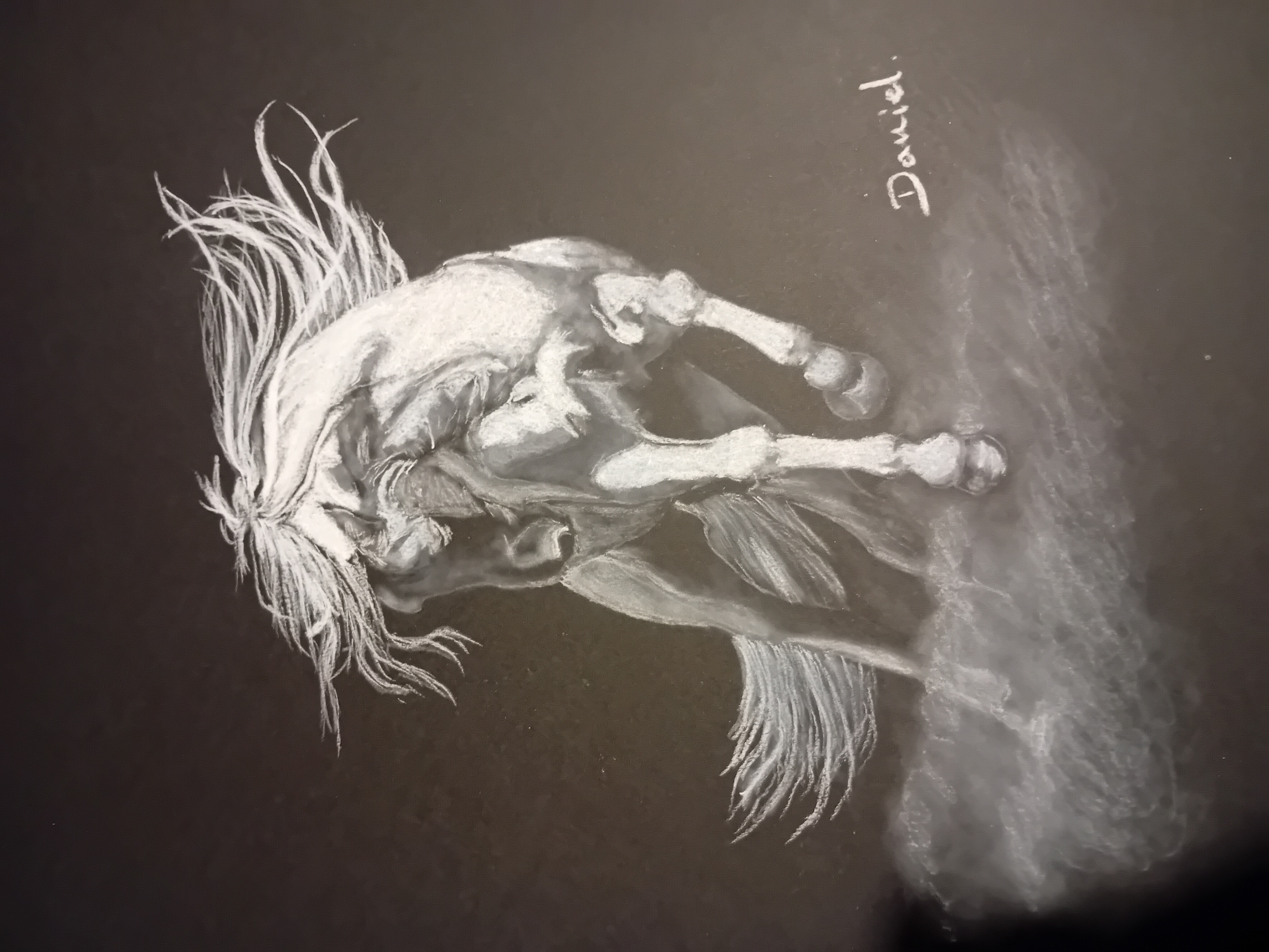 Le Mois des Amateurs d'Art - Photo N°6
