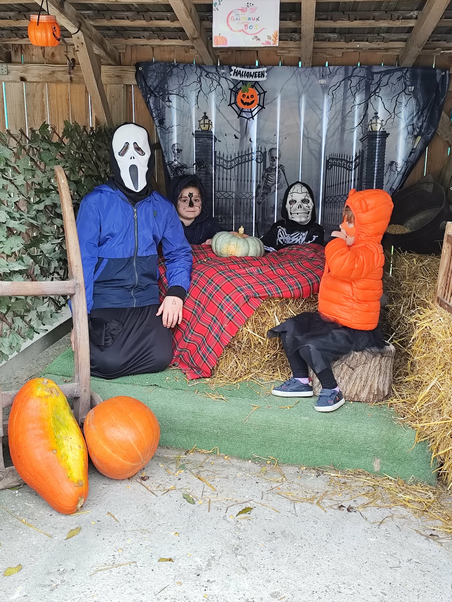 Week-end Halloween - Photo N°2