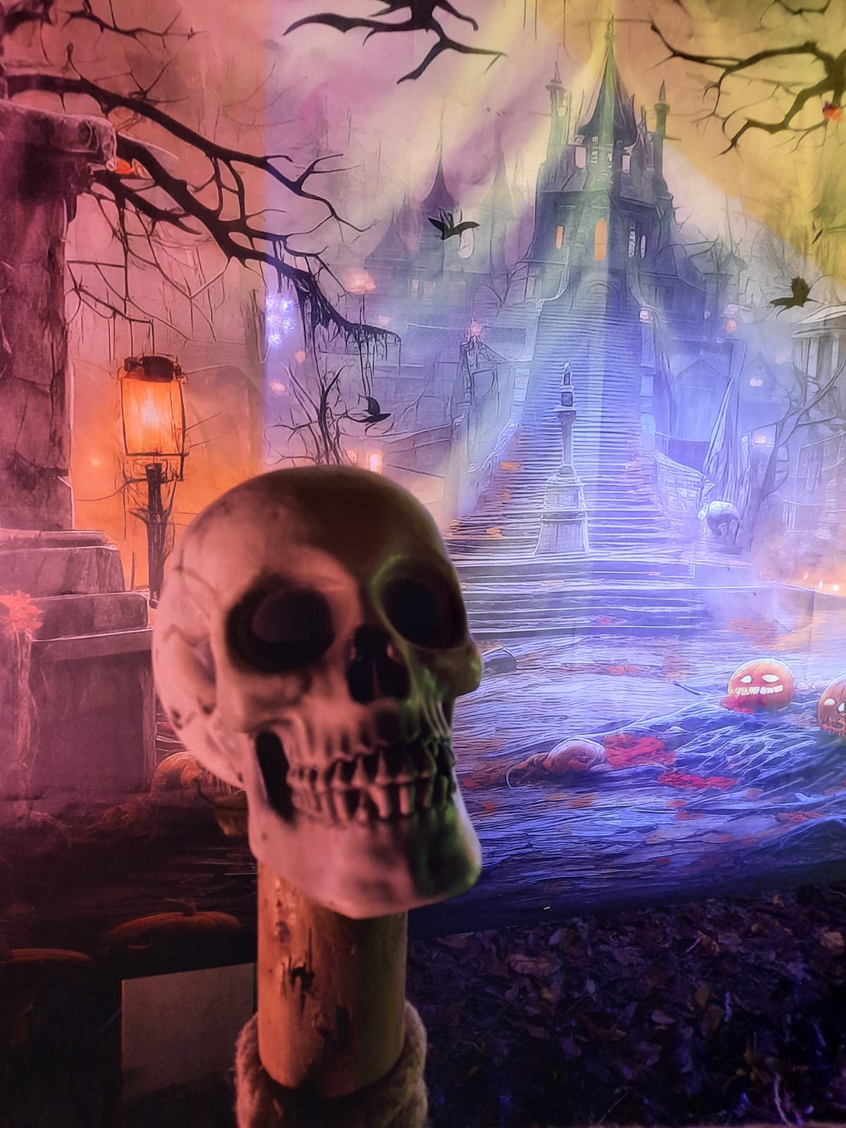 Accro'ween - Photo N°3